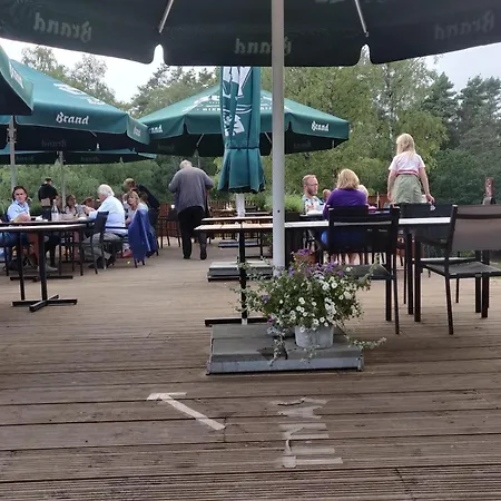 In Veluwe Near Scenic Trails Beekbergen