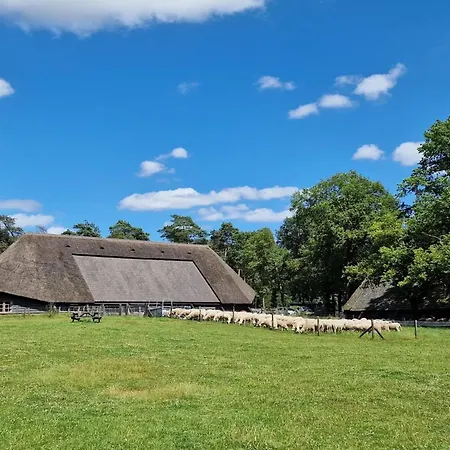 In Veluwe Near Scenic Trails