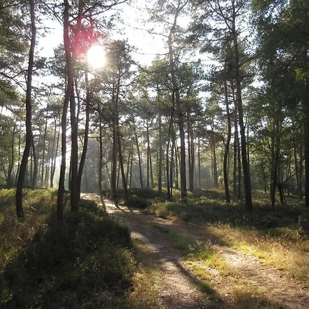 In Veluwe Near Scenic Trails Chalet