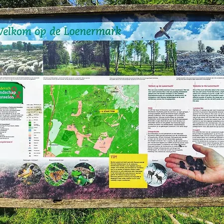 In Veluwe Near Scenic Trails *