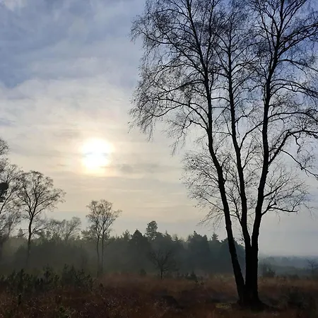 In Veluwe Near Scenic Trails * Beekbergen