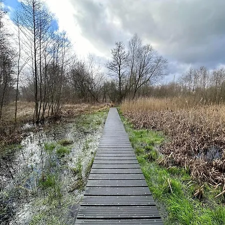 In Veluwe Near Scenic Trails Chalet