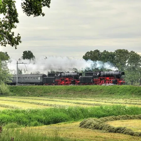 In Veluwe Near Scenic Trails *